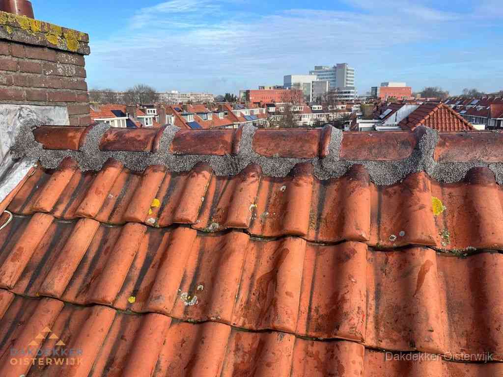 Nieuw bitumen plat dak met uitzicht over woonwijk in Oisterwijk