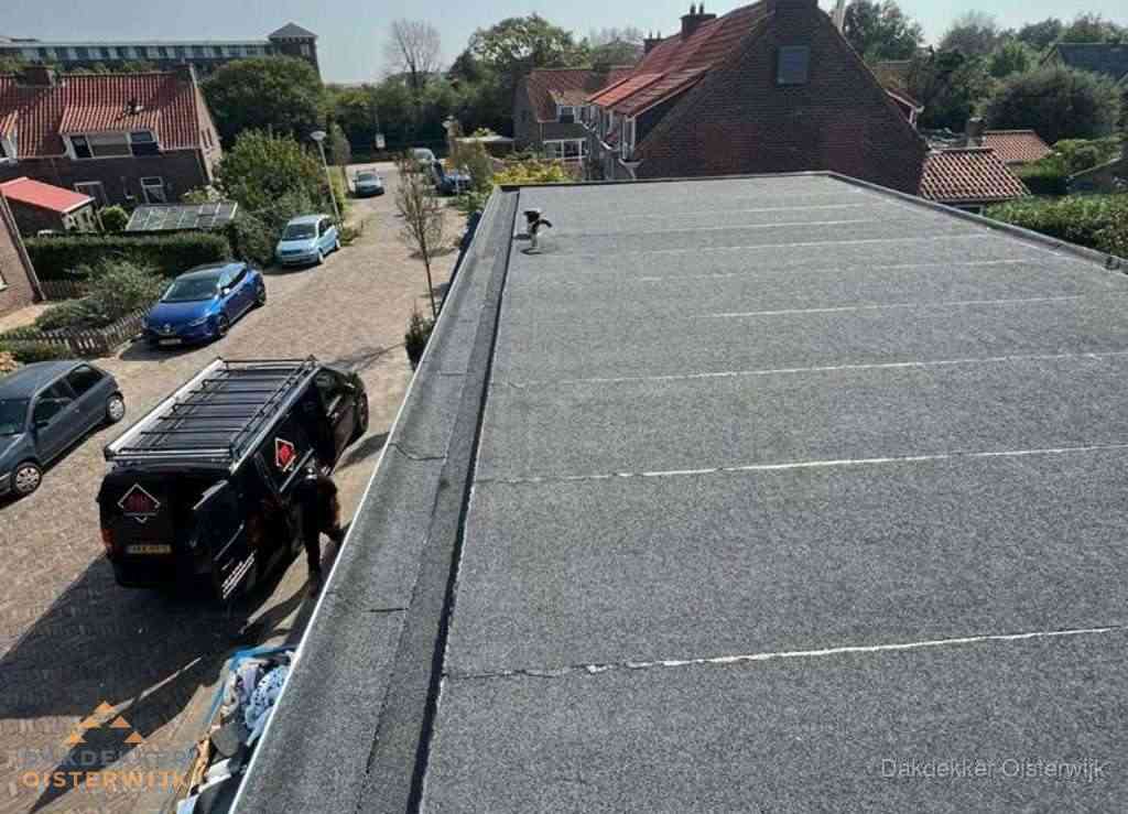 Nieuw bitumen plat dak met uitzicht over landschap in Oisterwijk