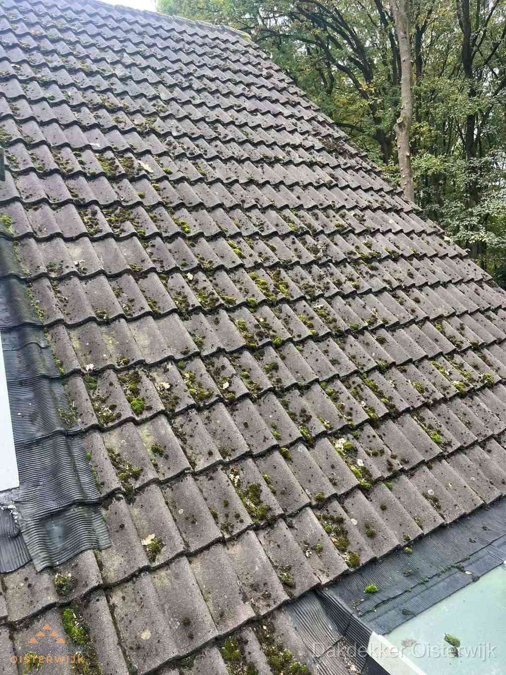 Verweerd pannendak met mosgroei dat renovatie nodig heeft in Oisterwijk
