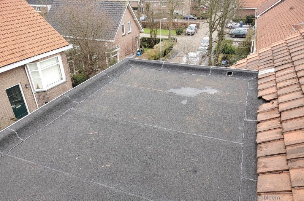 Dakdekker In Najaar Oisterwijk