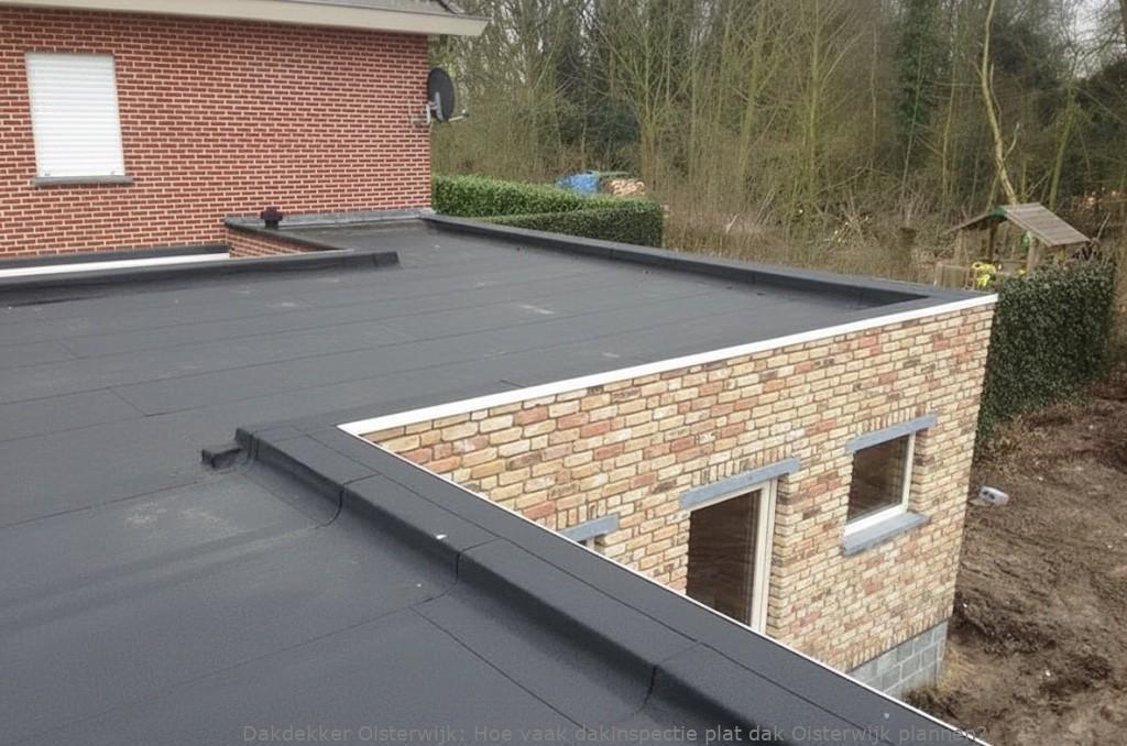 Hoe vaak dakinspectie plat dak Oisterwijk plannen?