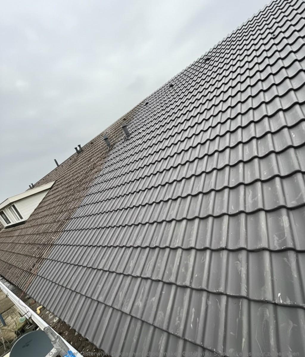 Dakpannen Schoonmaken Oisterwijk