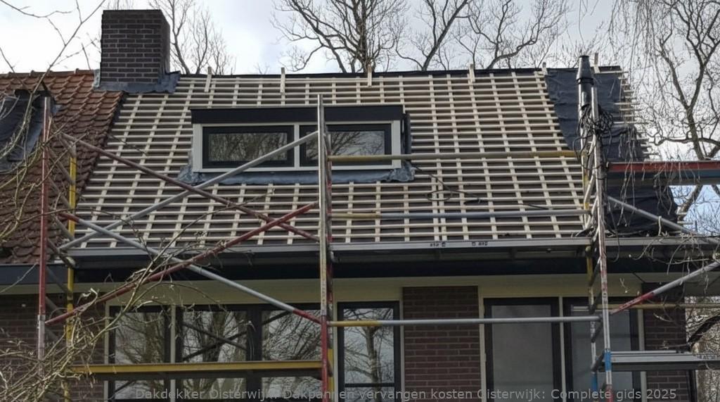 Dakpannen vervangen kosten Oisterwijk: Complete gids 2025