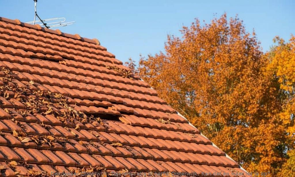 Dakrenovatie in herfst Oisterwijk: Kan dat en waar let je op?