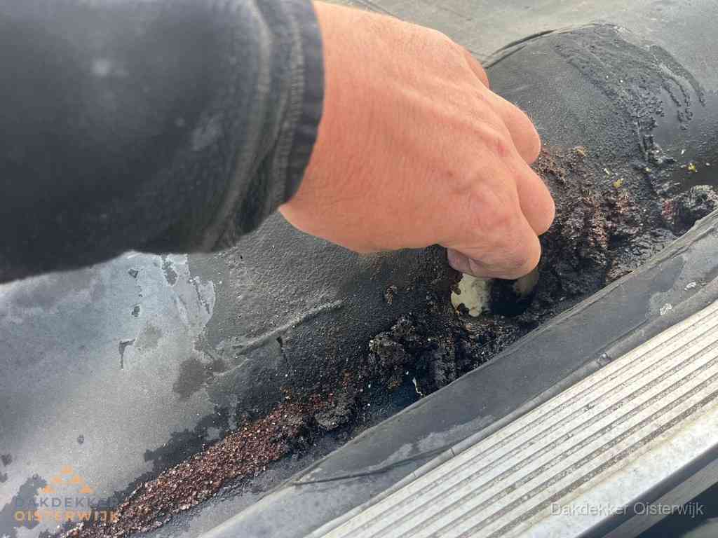 Plat Dak Reparatie Oisterwijk