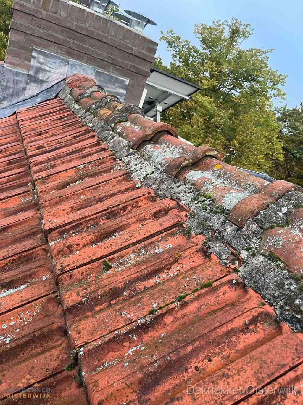 Renovatie Hellend Dak Oisterwijk