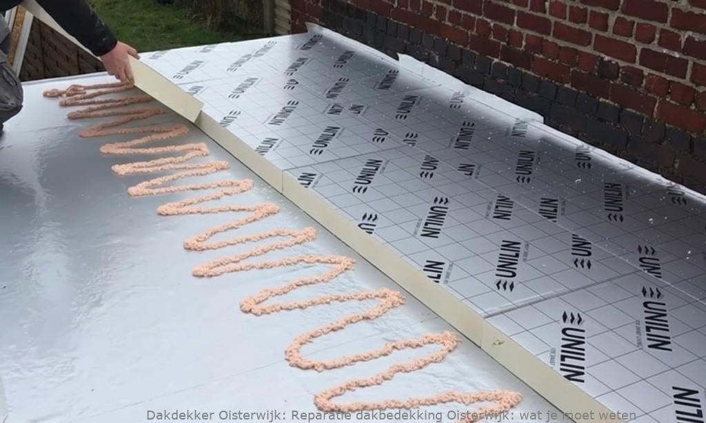 Reparatie dakbedekking Oisterwijk: wat je moet weten