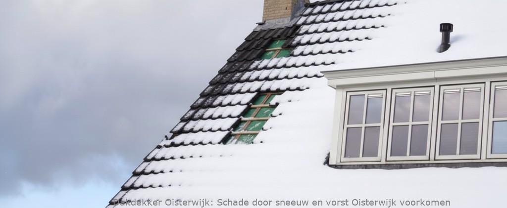 Schade Door Sneeuw En Vorst Oisterwijk
