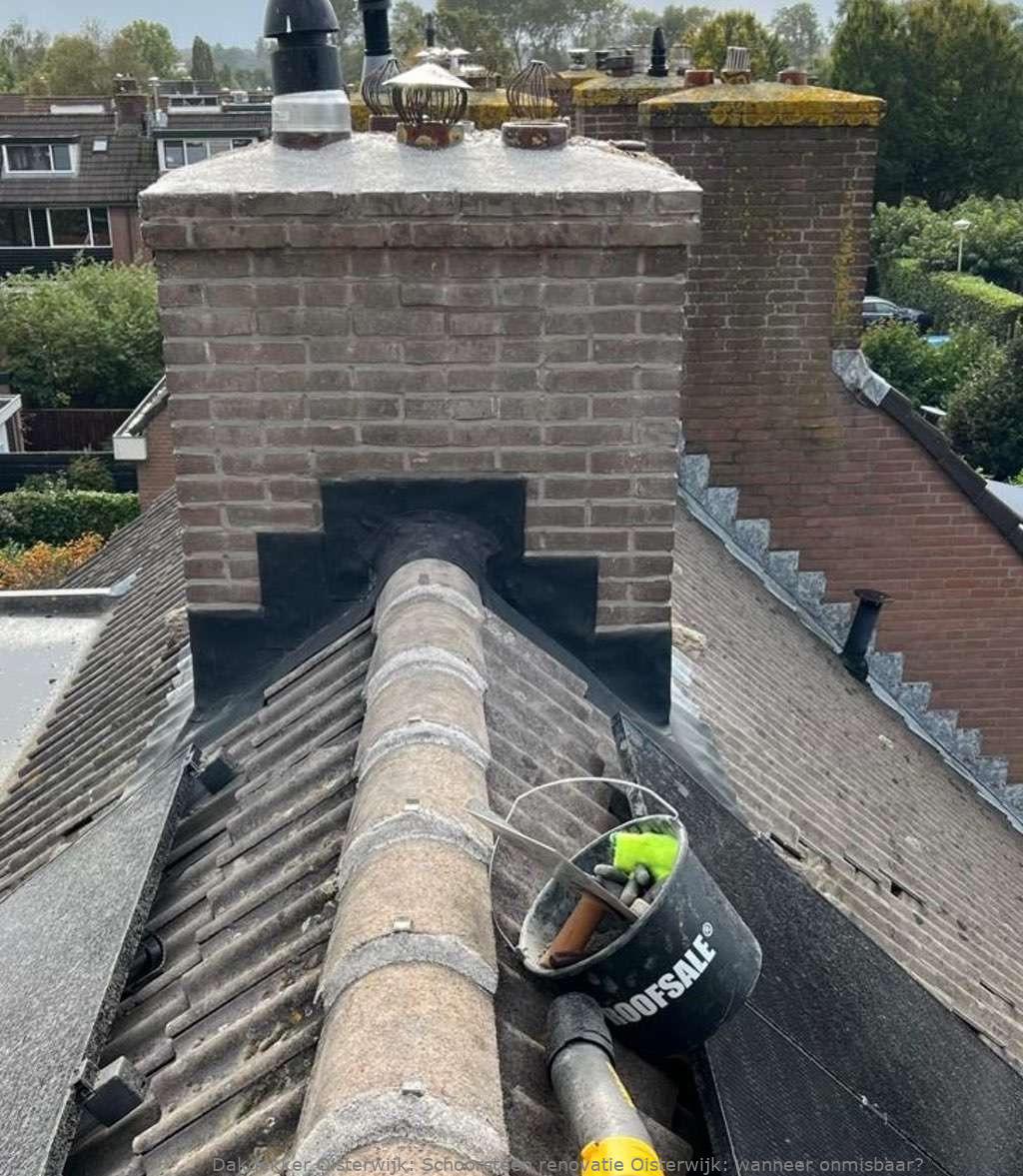 Schoorsteen Renovatie Oisterwijk 1
