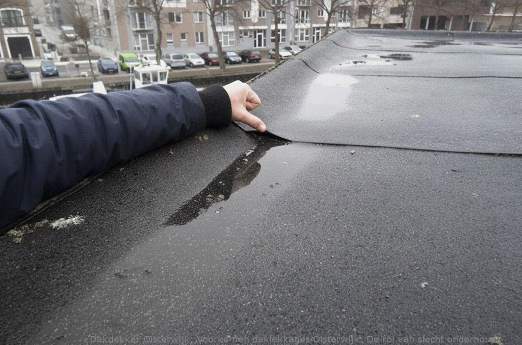 Voorkomen Daklekkages Oisterwijk